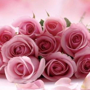 Meet your Posher, Rita